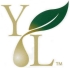 logotipo young living