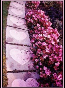 image_1356023999967338