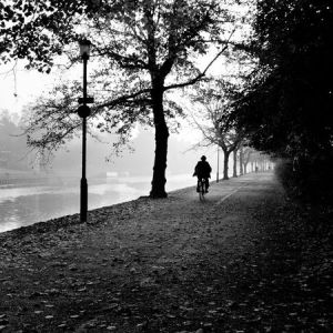 york-united-kingdom-morning-mist-bike_49169_600x450