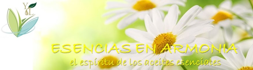 logo-esencias-en-armonia-pagina-web-grande