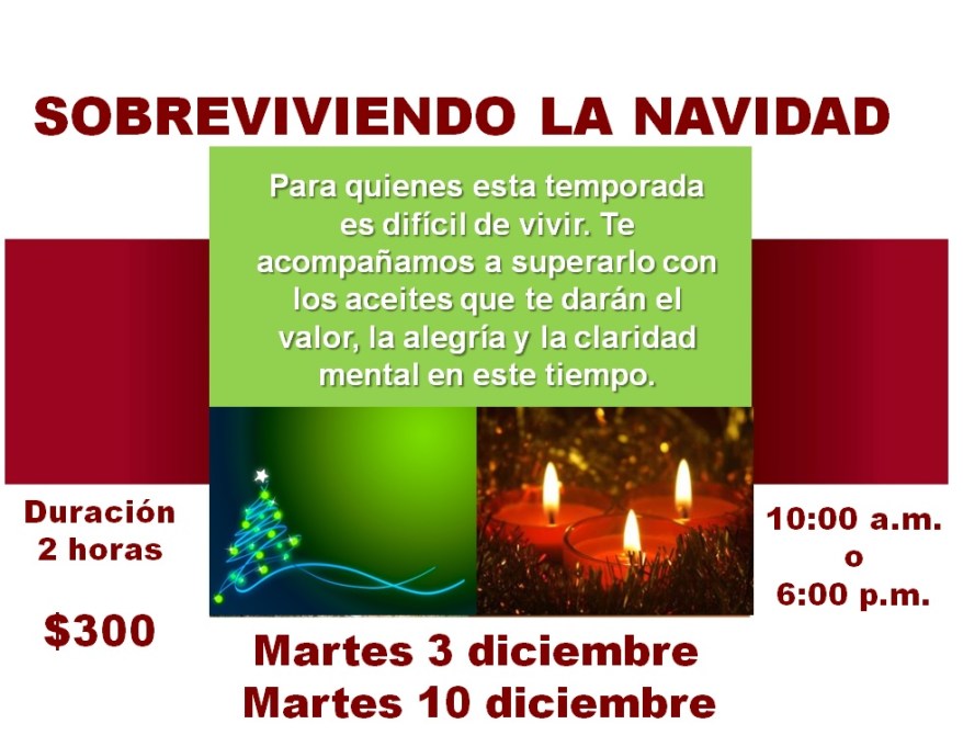 invitacion sobreviviendo navidad