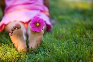 9bwk8yxusd7796viuc4a67c0ec0376d_campo-de-flores