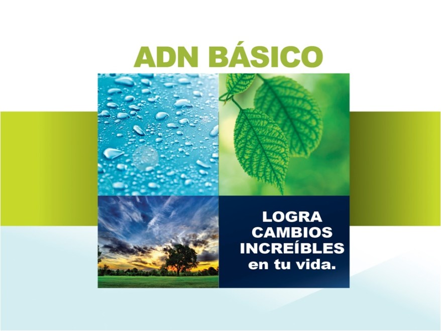 adn basico rotulo