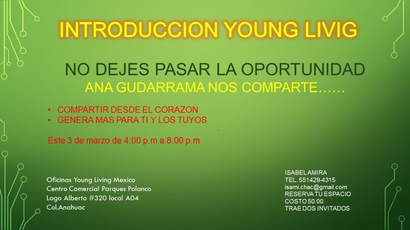 taller aceites diarios ana