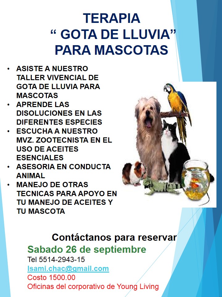 gota de lluvia mascotas 2015-09