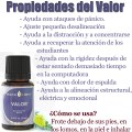 Propiedades-De-Valor