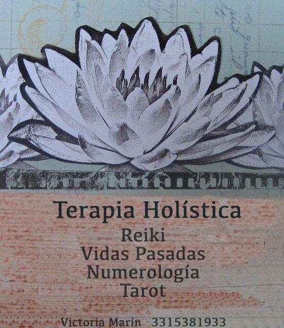 reiki cancun y DF Vika