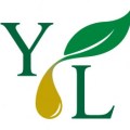 Young-Living-Logo-300×263
