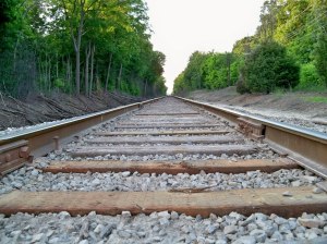 caminos de abundancia