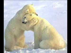 abrazo de oso