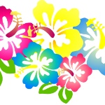 separador flores hawaianas