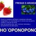 FRESAS ARANDANOS