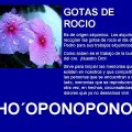 GOTAS DE ROCIO