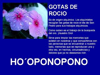 GOTAS DE ROCIO