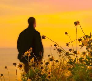 hombre atardecer flores meditar