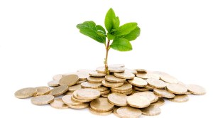 dinero arbol abundancia