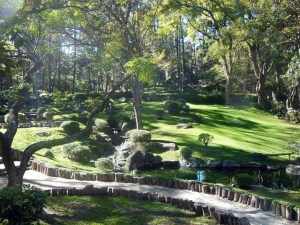jardin, camino, piedras, arboles
