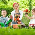 jardineria familia niños mujer plantas&nbsp;flores