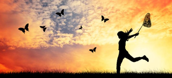 soñar mariposas