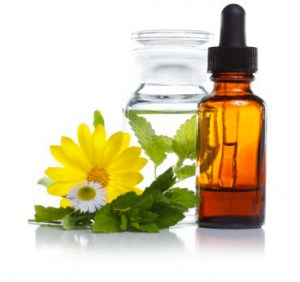 flores-bach-margarita