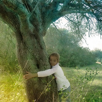 abrazo-al-arbol