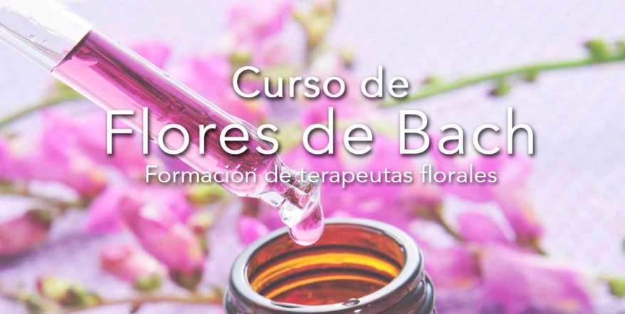 curso-de-flores-bach-banner